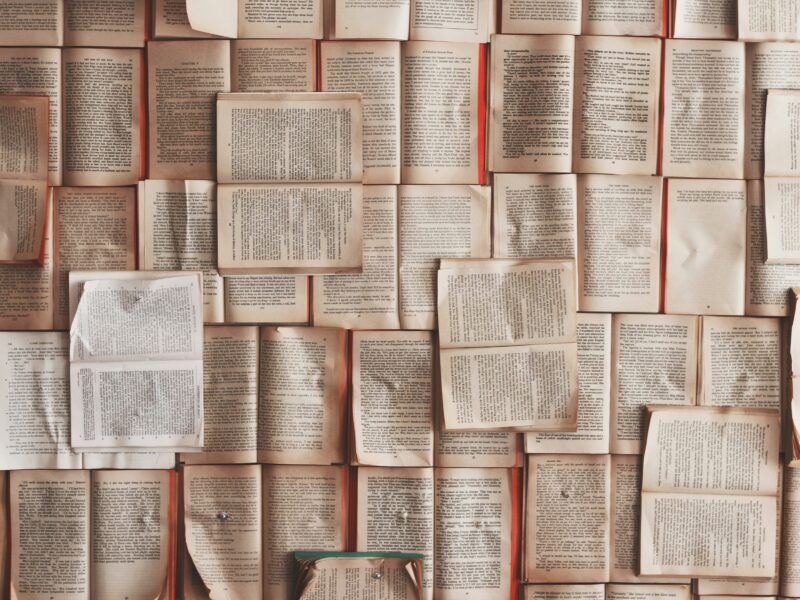 a flatlay of books opened pages