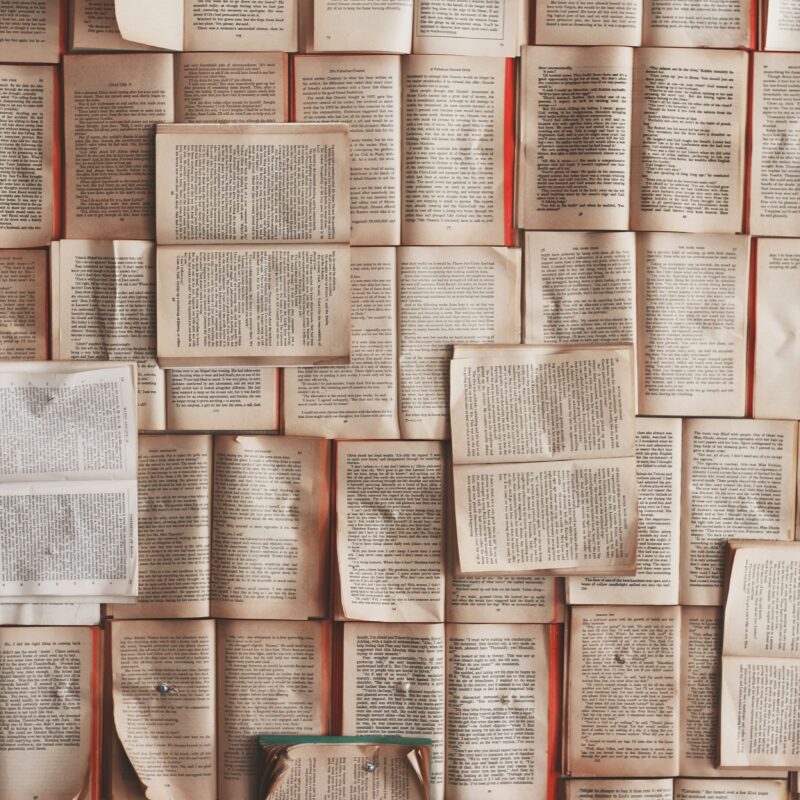 a flatlay of books opened pages